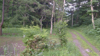 長野県菅平高原 ゆたか山荘 坂上 2026/07/14 18:45