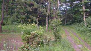 長野県菅平高原 ゆたか山荘 坂上 2026/07/14 19:00