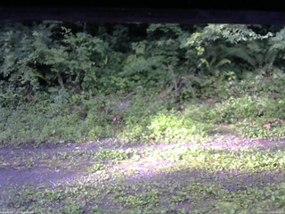 長野県菅平高原 ゆたか山荘 東側(坂下) 2026/07/15 06:30