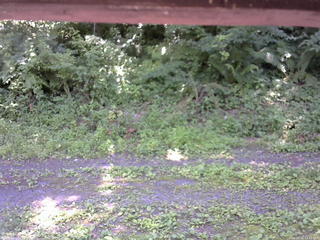長野県菅平高原 ゆたか山荘 東側(坂下) 2026/07/15 12:15