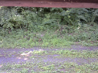 長野県菅平高原 ゆたか山荘 東側(坂下) 2026/07/15 12:45