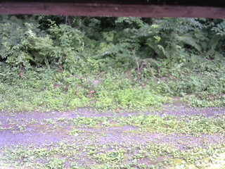 長野県菅平高原 ゆたか山荘 東側(坂下) 2026/07/15 14:00