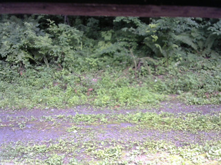 長野県菅平高原 ゆたか山荘 東側(坂下) 2026/07/15 14:30