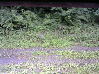 長野県菅平高原 ゆたか山荘 東側(坂下) 2026/07/15 15:00