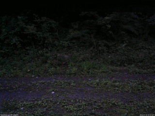 長野県菅平高原 ゆたか山荘 東側(坂下) 2026/07/15 19:15