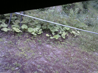 長野県菅平高原 ゆたか山荘 駐車場 2026/07/15 05:00