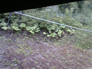 長野県菅平高原 ゆたか山荘 駐車場 2026/07/15 05:30