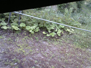 長野県菅平高原 ゆたか山荘 駐車場 2026/07/15 05:45