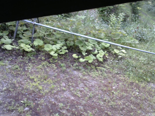 長野県菅平高原 ゆたか山荘 駐車場 2026/07/15 06:15