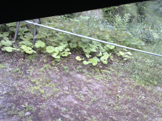 長野県菅平高原 ゆたか山荘 駐車場 2026/07/15 06:30