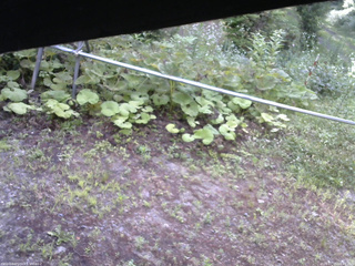 長野県菅平高原 ゆたか山荘 駐車場 2026/07/15 06:45