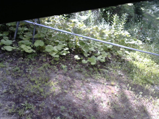 長野県菅平高原 ゆたか山荘 駐車場 2026/07/15 07:30