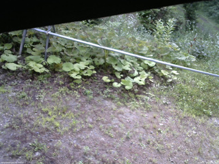 長野県菅平高原 ゆたか山荘 駐車場 2026/07/15 08:00
