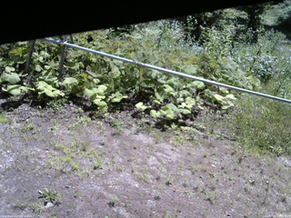 長野県菅平高原 ゆたか山荘 駐車場 2026/07/15 10:15