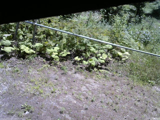 長野県菅平高原 ゆたか山荘 駐車場 2026/07/15 10:30