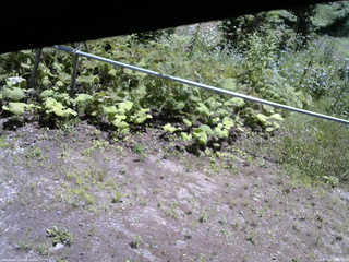長野県菅平高原 ゆたか山荘 駐車場 2026/07/15 11:00