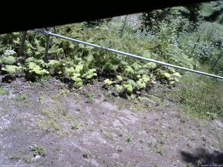 長野県菅平高原 ゆたか山荘 駐車場 2026/07/15 11:15