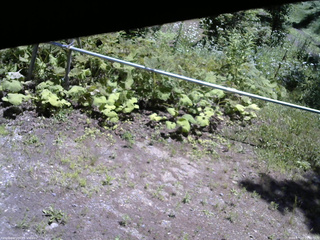 長野県菅平高原 ゆたか山荘 駐車場 2026/07/15 11:30