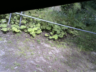 長野県菅平高原 ゆたか山荘 駐車場 2026/07/15 14:15