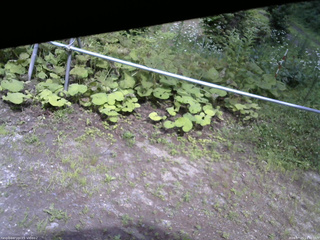 長野県菅平高原 ゆたか山荘 駐車場 2026/07/15 14:30