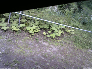 長野県菅平高原 ゆたか山荘 駐車場 2026/07/15 15:00
