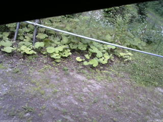 長野県菅平高原 ゆたか山荘 駐車場 2026/07/15 15:15