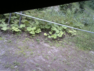 長野県菅平高原 ゆたか山荘 駐車場 2026/07/15 16:45