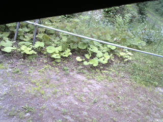 長野県菅平高原 ゆたか山荘 駐車場 2026/07/15 17:00
