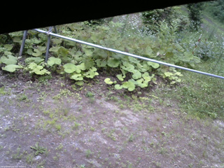 長野県菅平高原 ゆたか山荘 駐車場 2026/07/15 17:30
