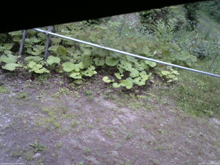 長野県菅平高原 ゆたか山荘 駐車場 2026/07/15 18:15