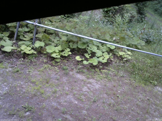 長野県菅平高原 ゆたか山荘 駐車場 2026/07/15 18:30
