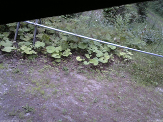 長野県菅平高原 ゆたか山荘 駐車場 2026/07/15 18:45