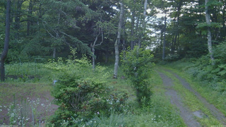 長野県菅平高原 ゆたか山荘 坂上 2026/07/15 05:00