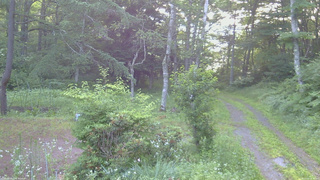 長野県菅平高原 ゆたか山荘 坂上 2026/07/15 05:15