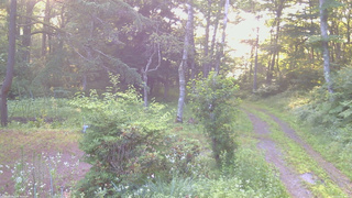 長野県菅平高原 ゆたか山荘 坂上 2026/07/15 05:30