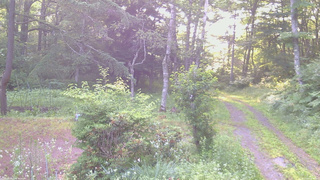 長野県菅平高原 ゆたか山荘 坂上 2026/07/15 05:45