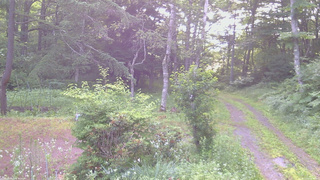 長野県菅平高原 ゆたか山荘 坂上 2026/07/15 06:00