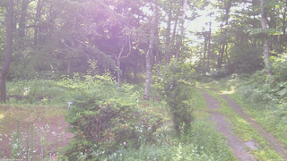 長野県菅平高原 ゆたか山荘 坂上 2026/07/15 06:30
