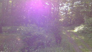 長野県菅平高原 ゆたか山荘 坂上 2026/07/15 07:00