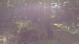 長野県菅平高原 ゆたか山荘 坂上 2026/07/15 07:45