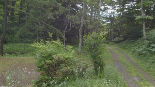 長野県菅平高原 ゆたか山荘 坂上 2026/07/15 08:00