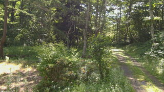 長野県菅平高原 ゆたか山荘 坂上 2026/07/15 08:15