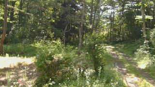 長野県菅平高原 ゆたか山荘 坂上 2026/07/15 08:30