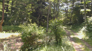 長野県菅平高原 ゆたか山荘 坂上 2026/07/15 08:45