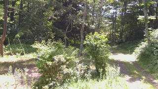 長野県菅平高原 ゆたか山荘 坂上 2026/07/15 09:30