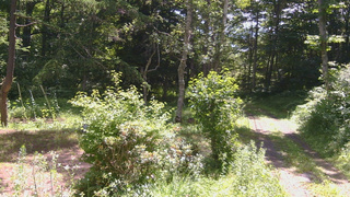 長野県菅平高原 ゆたか山荘 坂上 2026/07/15 09:45