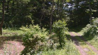 長野県菅平高原 ゆたか山荘 坂上 2026/07/15 10:15