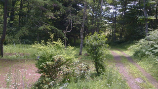 長野県菅平高原 ゆたか山荘 坂上 2026/07/15 10:45