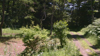 長野県菅平高原 ゆたか山荘 坂上 2026/07/15 11:00