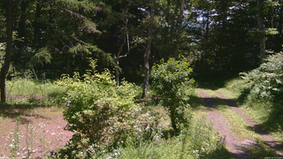 長野県菅平高原 ゆたか山荘 坂上 2026/07/15 11:15